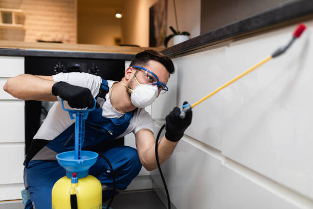 Best Pest Inspection Near Me  in Lockwood, MO