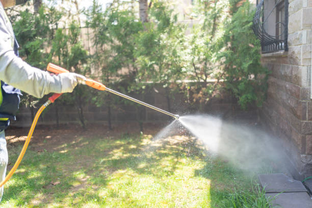 Best Insect Control  in Lockwood, MO