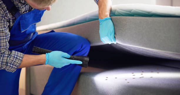Best Affordable Pest Control Services  in Lockwood, MO