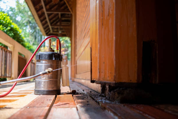Best Termite Control Services  in Lockwood, MO