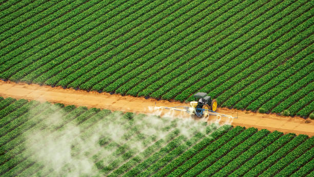 Best Pest Removal Services  in Lockwood, MO