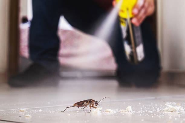 Pest Prevention Services in Lockwood, MO